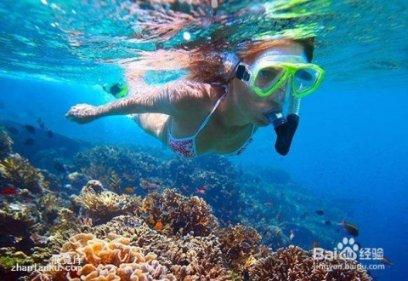 奥莉的夏威夷之旅