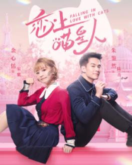 熊仔拼图