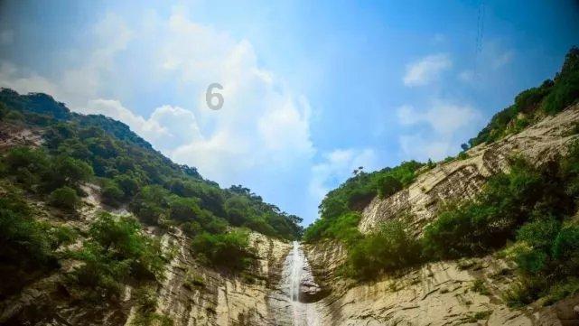 野生动物纷纷登场，成为各地文旅内卷的宣传工具，该不该？｜观点争鸣
