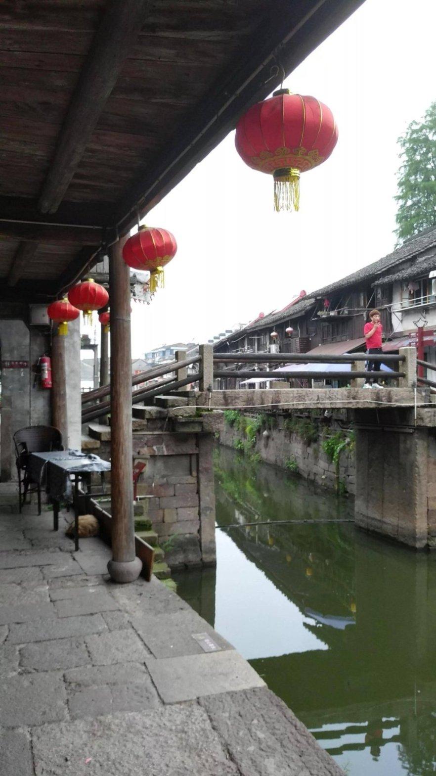 我国明确生物多样性保护“路线图”(新华社)